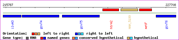 gene map