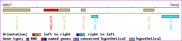 gene map