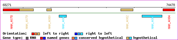 gene map