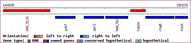 gene map