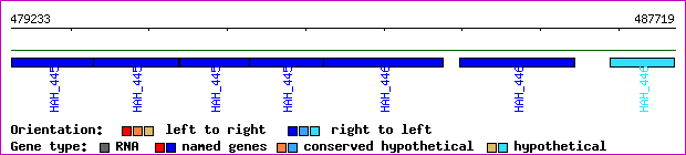 gene map