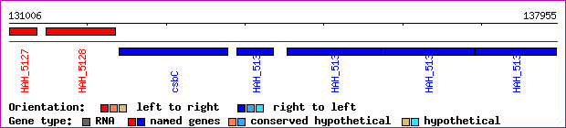 gene map