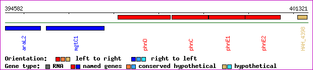 gene map