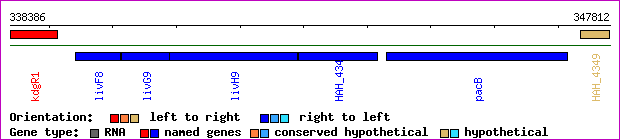gene map