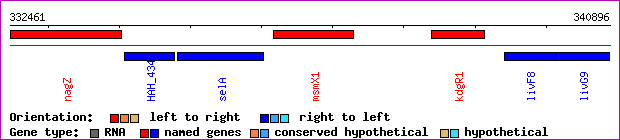 gene map
