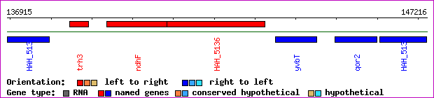 gene map