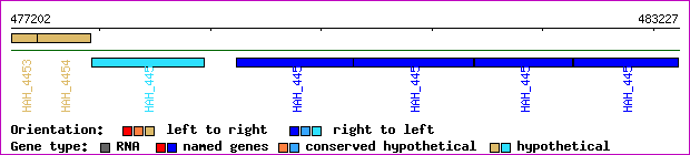 gene map