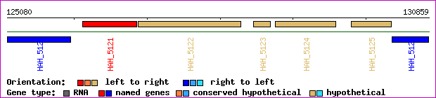 gene map