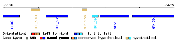 gene map