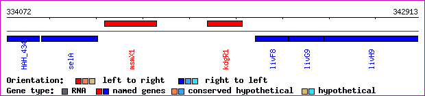 gene map