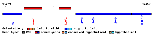 gene map