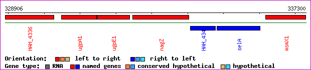 gene map