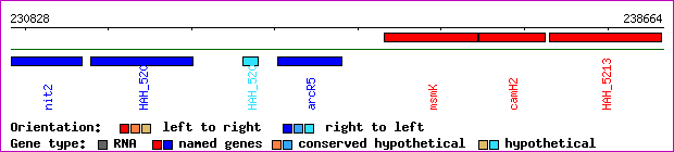 gene map