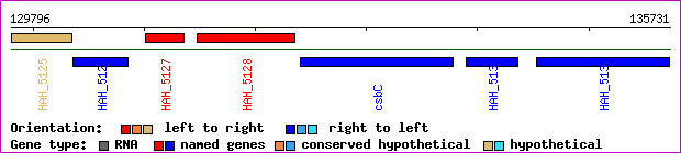 gene map