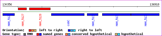 gene map