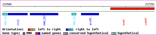 gene map