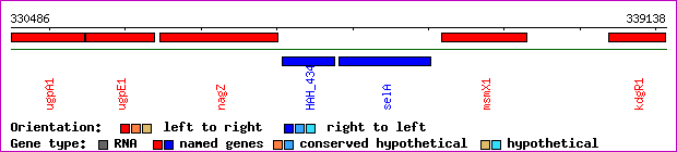 gene map
