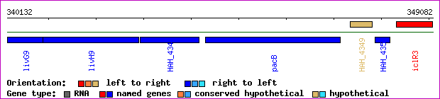 gene map