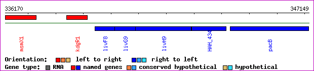 gene map