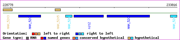 gene map