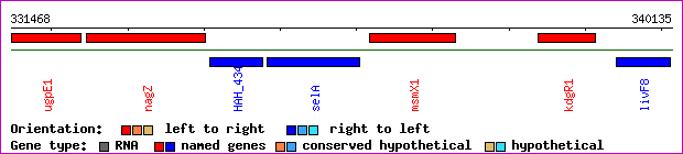gene map