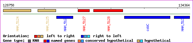 gene map