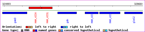 gene map
