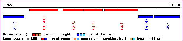 gene map