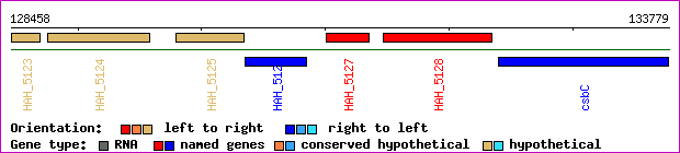 gene map