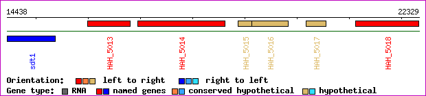 gene map
