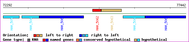 gene map
