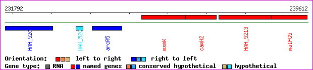 gene map