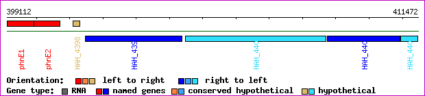 gene map
