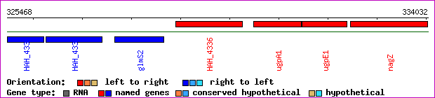 gene map