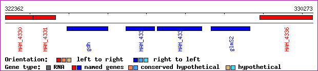 gene map