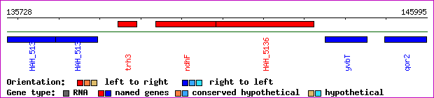 gene map