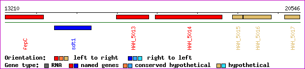 gene map