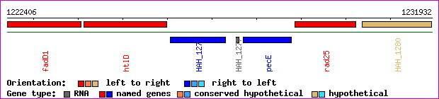 gene map