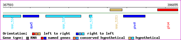 gene map
