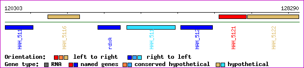 gene map