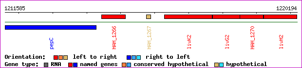 gene map