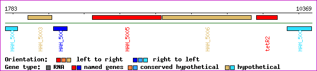 gene map