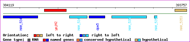gene map