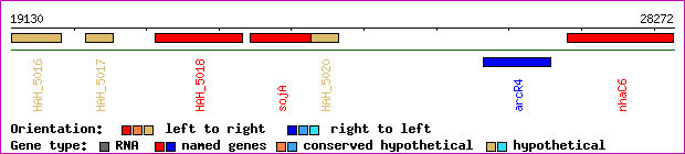 gene map