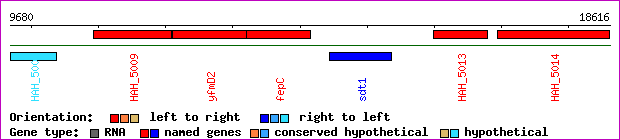 gene map