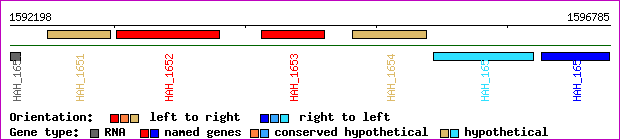 gene map