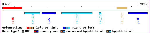 gene map