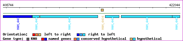 gene map