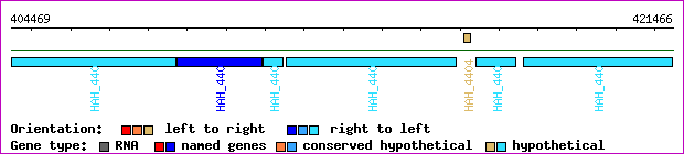 gene map