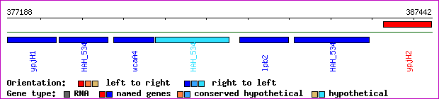 gene map